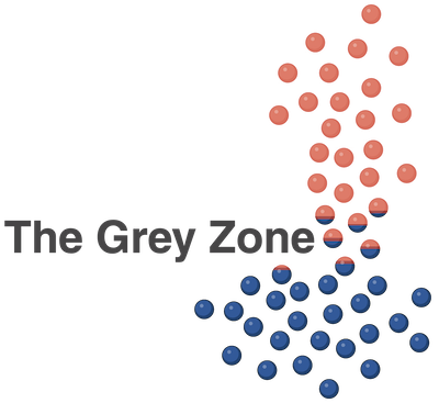 The Grey Zone Project logo — risk-based framework for ABCD1 variant classification in ALD newborn screening